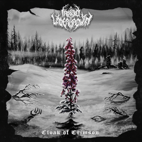 Frosted Undergrowth : Cloak of Crimson